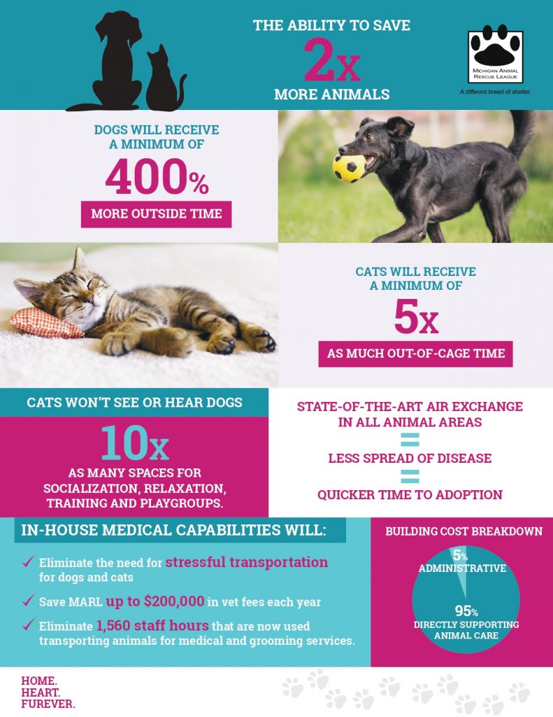 InfoGraphic – Michigan Animal Rescue League