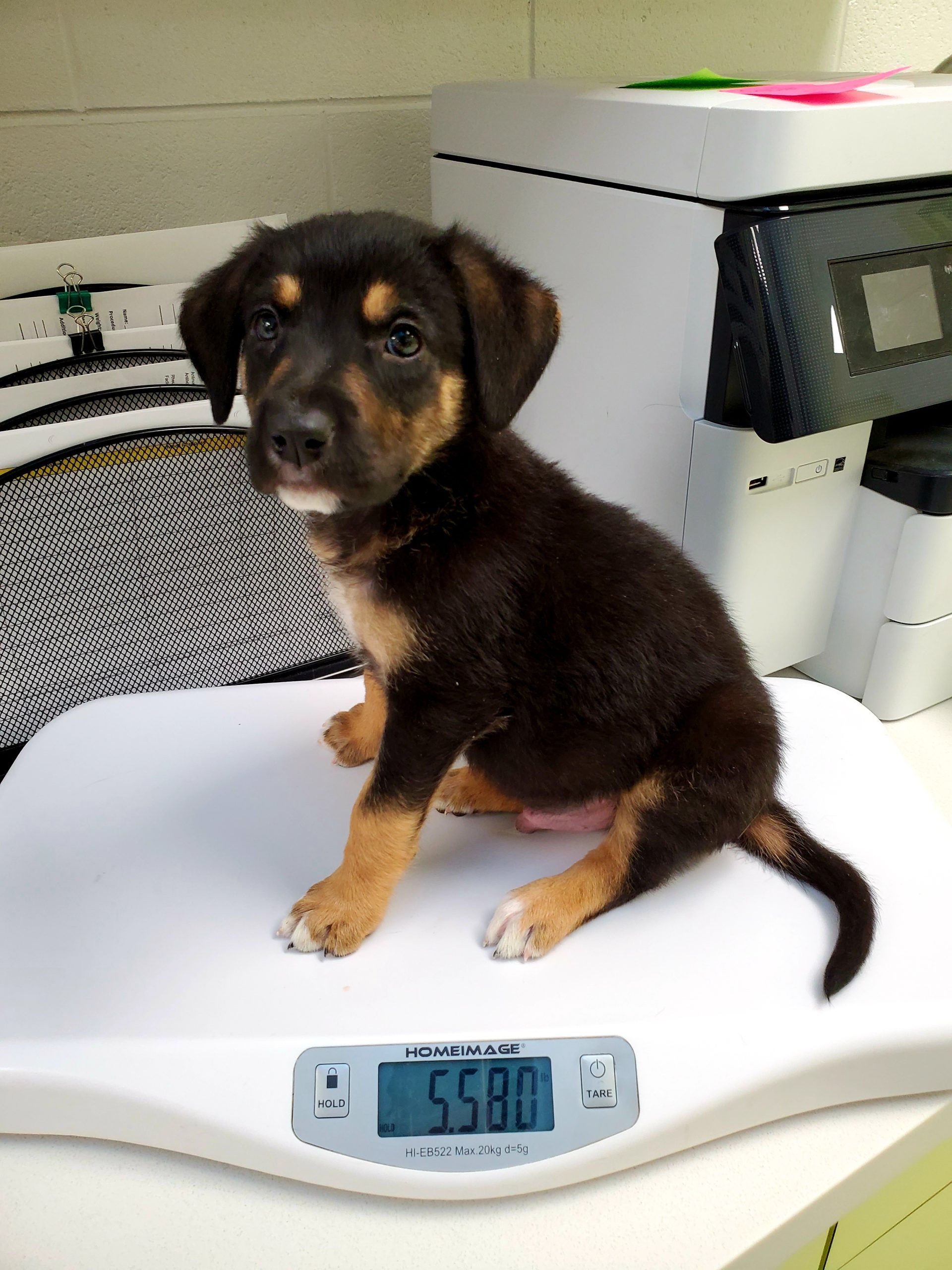 Weekly Weigh-In